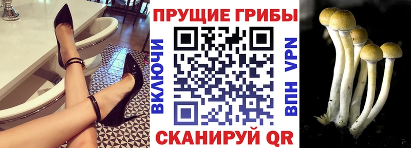 Купить закладки  Вельск  Галлюциногенные грибы мухоморы 